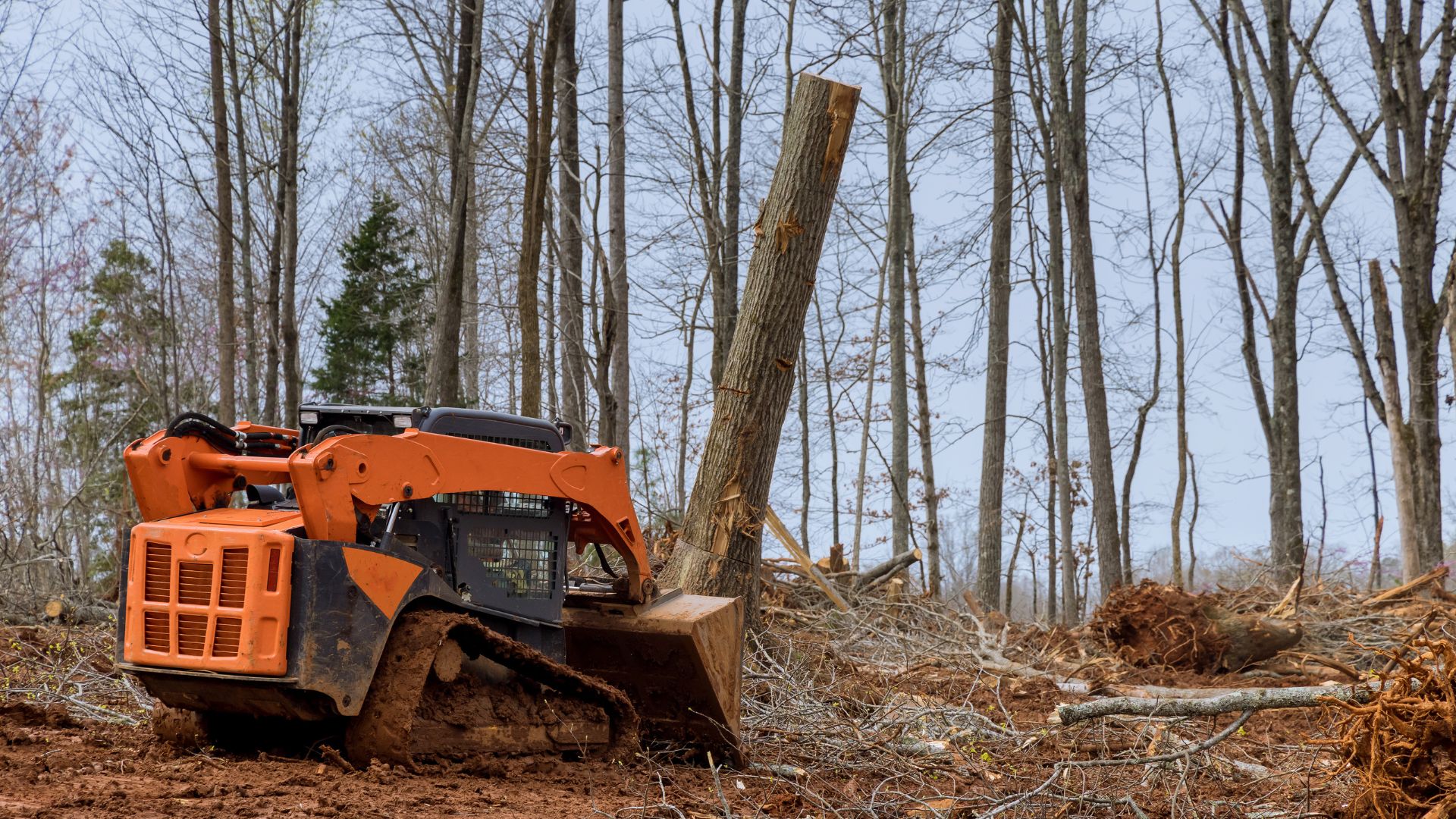 An orange bulldozer digging through a forest